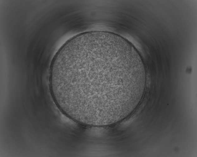 X0000091371094200708311520