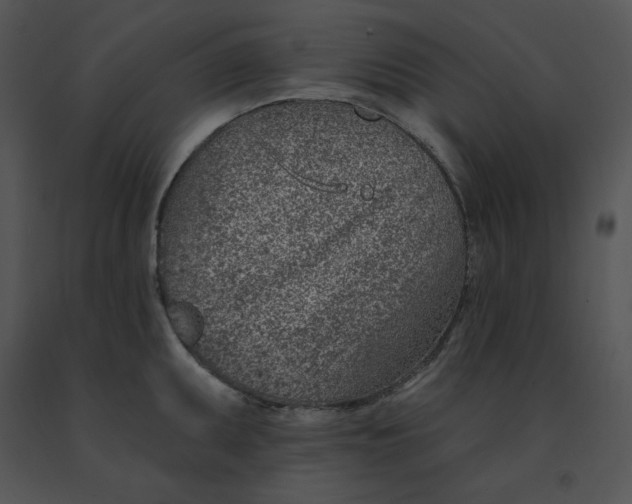 X0000091371095200708311520