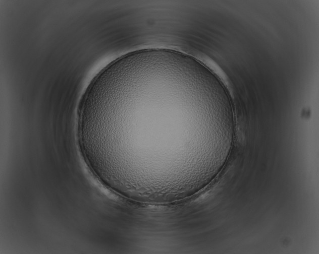 X0000091371096200708311520