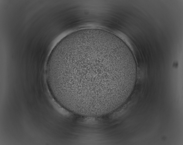 X0000091371098200708311520