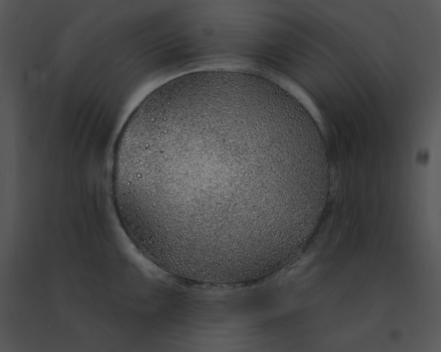 X0000091371099200708311520