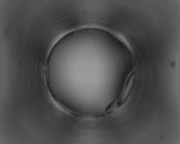 X0000091371100200708311520