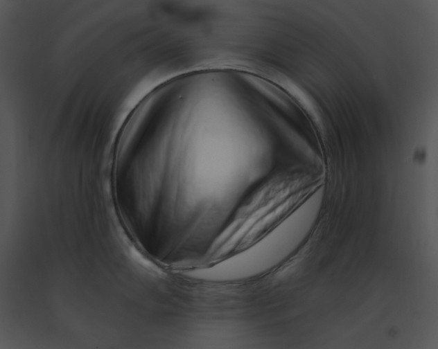 X0000091371102200708311520