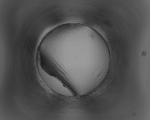 X0000091371104200708311520