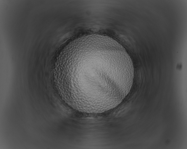 X0000091371105200708311519