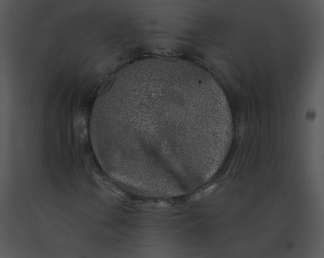 X0000091371106200708311519