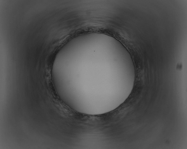 X0000091371109200708311519