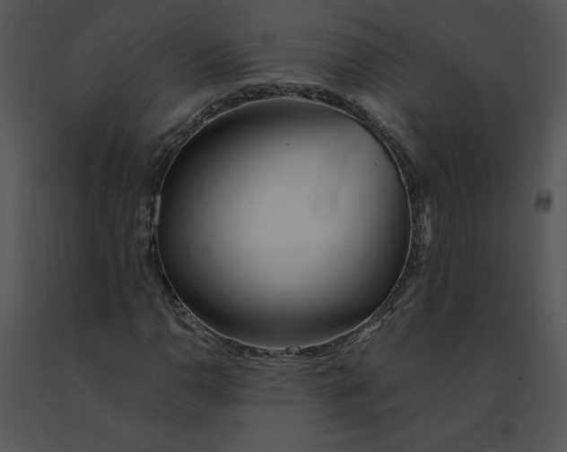 X0000091371110200708311519