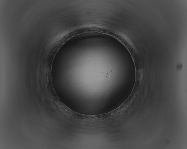 X0000091371111200708311519