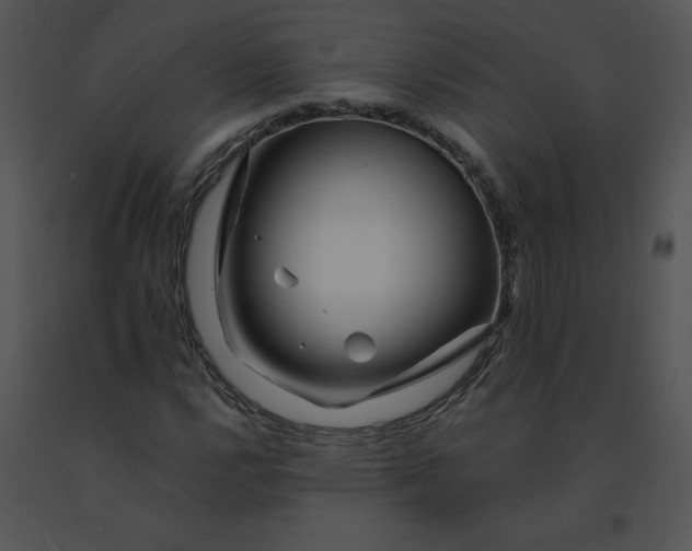 X0000091371112200708311519