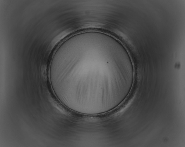 X0000091371113200708311519