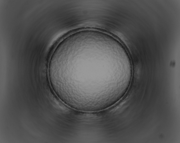 X0000091371115200708311519