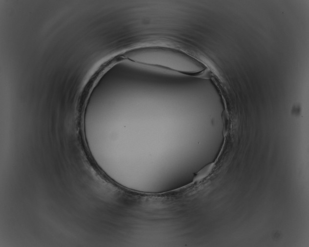 X0000091371116200708311519