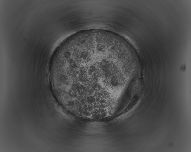 X0000091371117200708311519