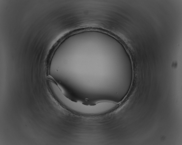 X0000091371118200708311519