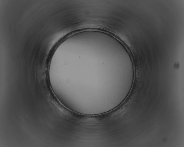 X0000091371119200708311519