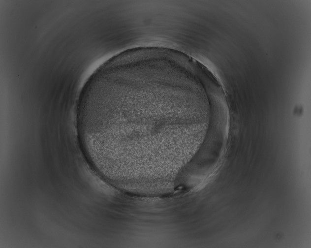 X0000091371120200708311519