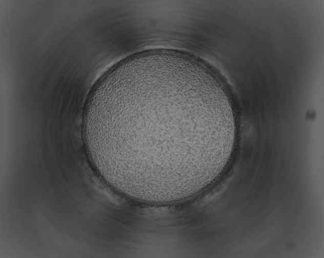 X0000091371121200708311519