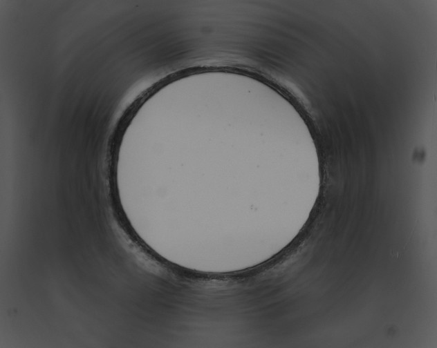 X0000091371122200708311519