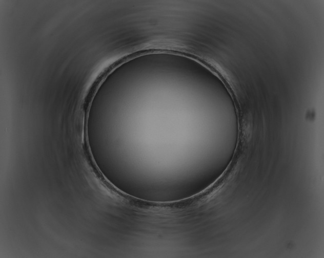 X0000091371123200708311519