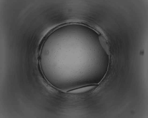 X0000091371124200708311519