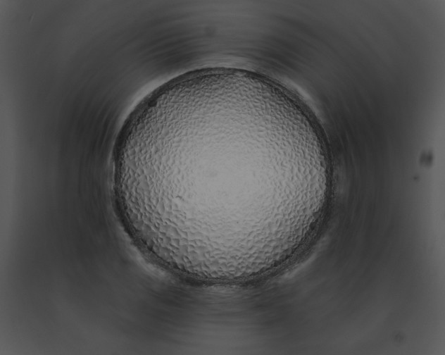 X0000091371125200708311519