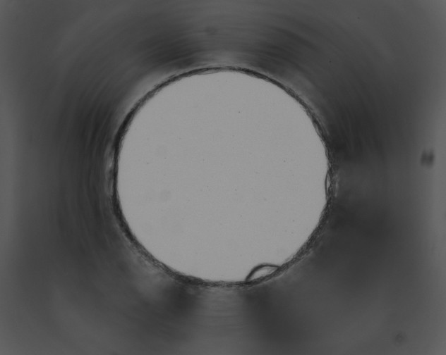 X0000091371126200708311519