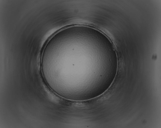 X0000091371128200708311519