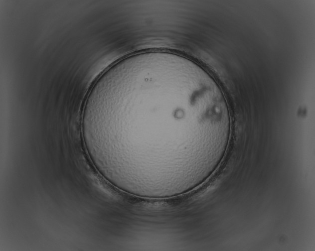 X0000091371129200708311519