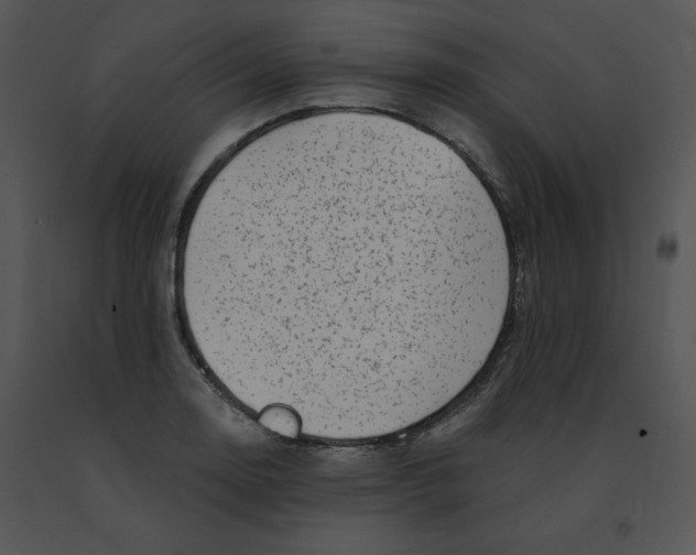 X0000091371130200708311519