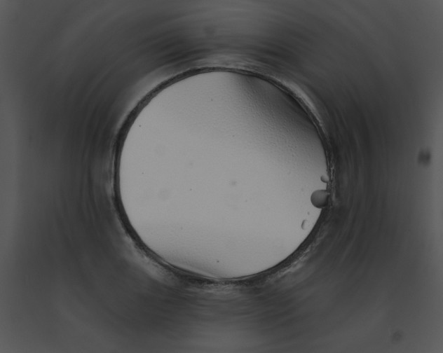 X0000091371131200708311519