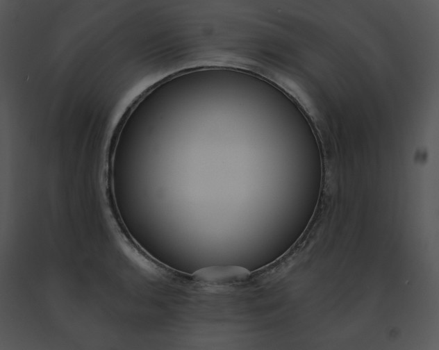 X0000091371136200708311520