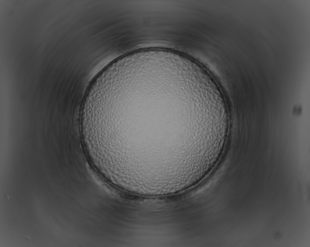 X0000091371137200708311520