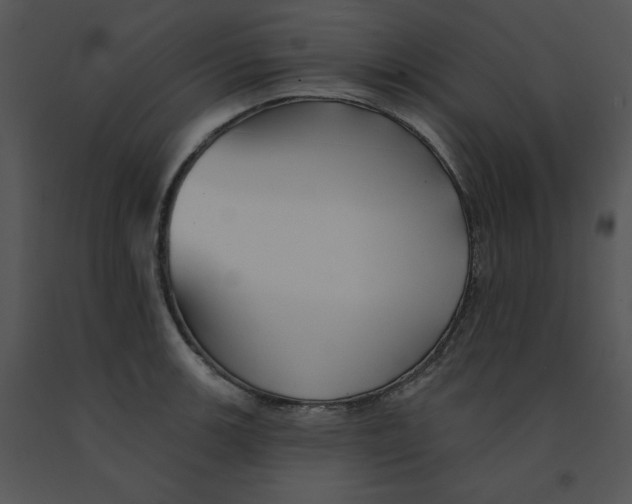 X0000091371139200708311520