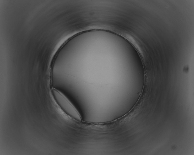 X0000091371140200708311520