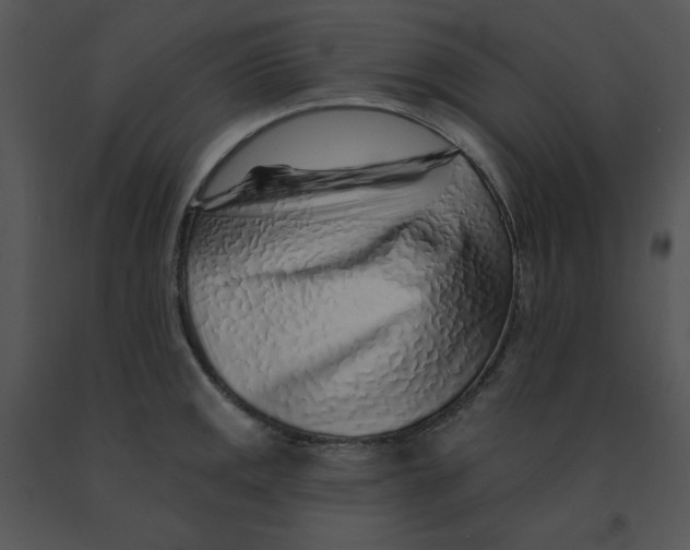 X0000091371141200708311520