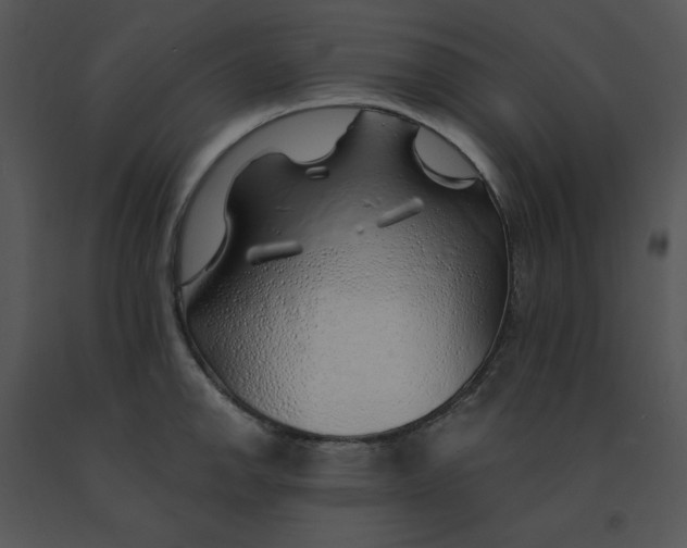 X0000091371142200708311520