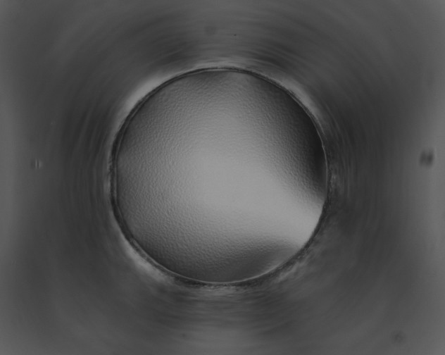 X0000091371143200708311520