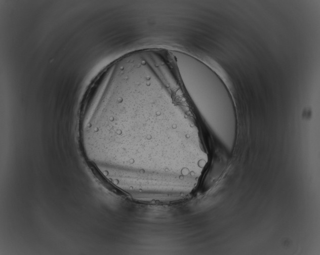 X0000091371144200708311520