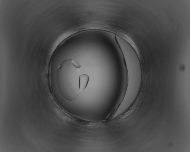 X0000091371146200708311520