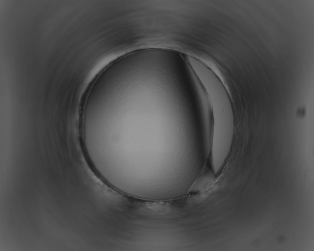 X0000091371147200708311520