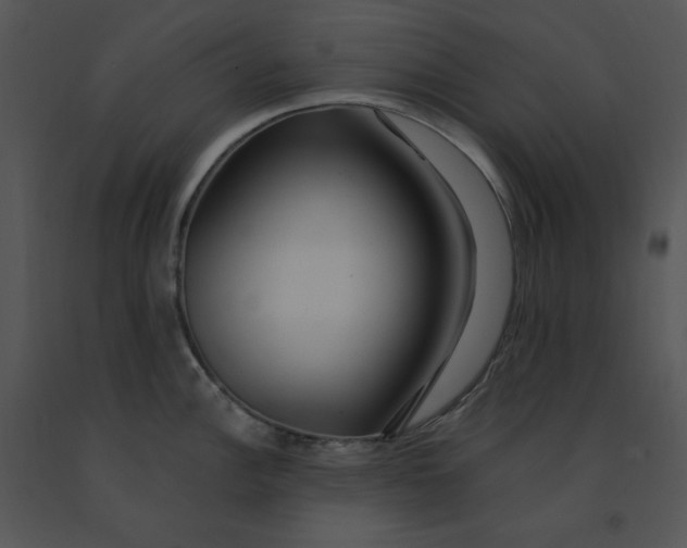 X0000091371148200708311520