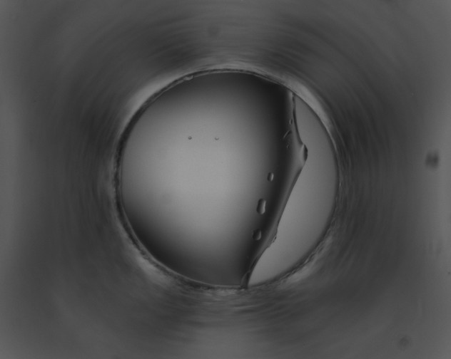 X0000091371149200708311520