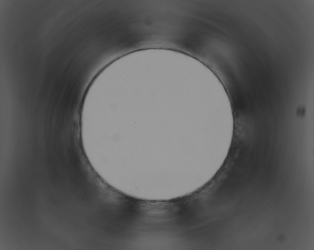 X0000091371150200708311520