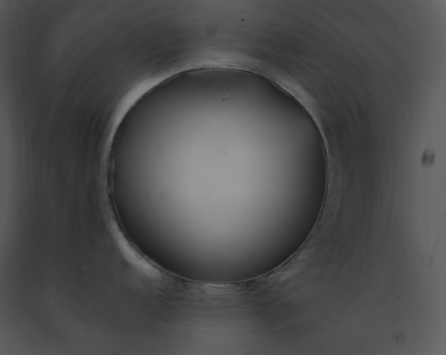 X0000091371152200708311520