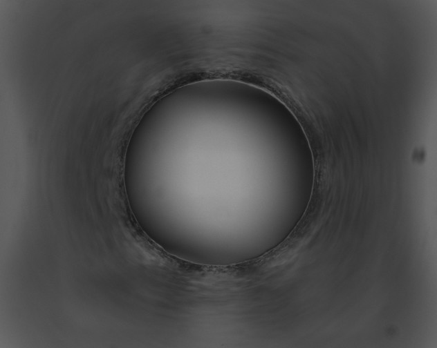 X0000091371153200708311519