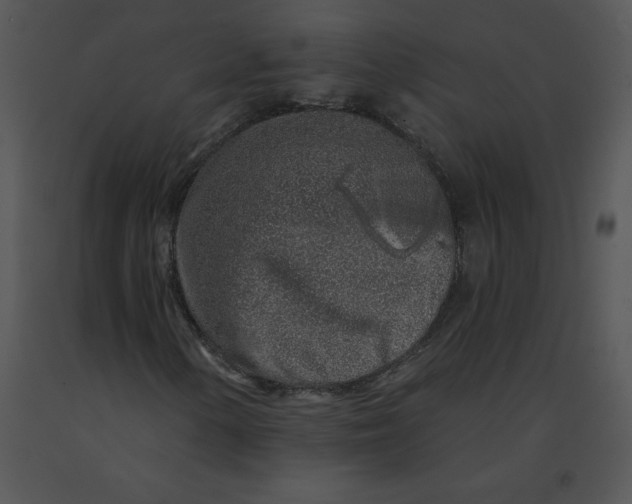 X0000091371154200708311519