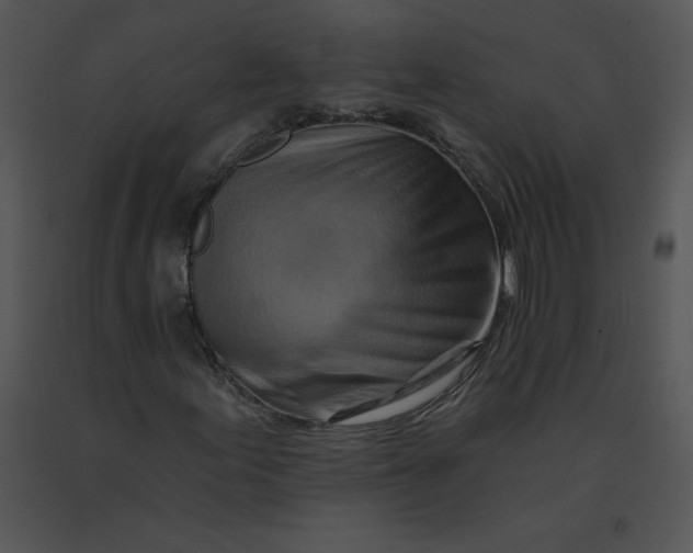 X0000091371155200708311519