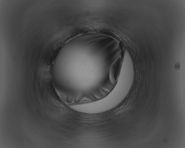 X0000091371156200708311519