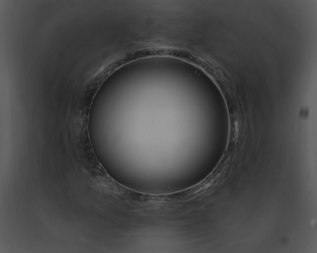 X0000091371157200708311519